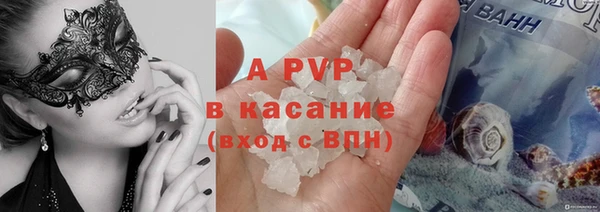 хмурый Нея