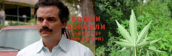 хмурый Нея