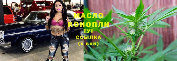 хмурый Нея