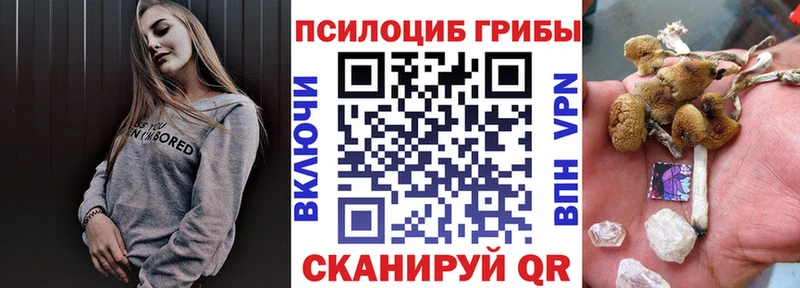 мориарти телеграм  Иваново  МЕГА рабочий сайт  Псилоцибиновые грибы прущие грибы  как найти наркотики 