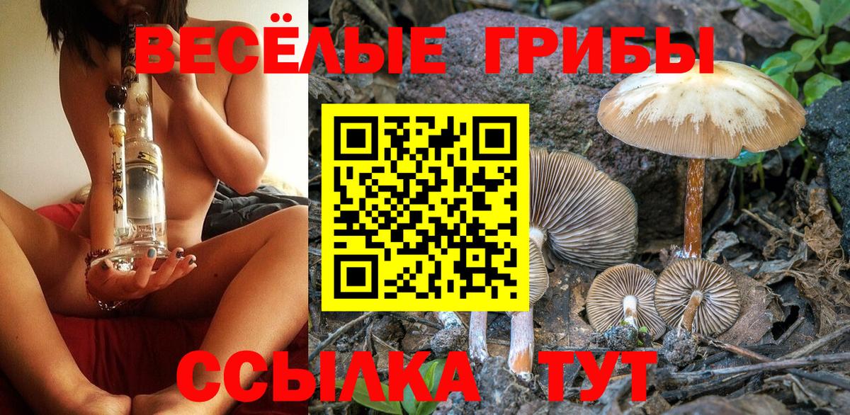 Псилоцибиновые грибы мухоморы  Иваново 