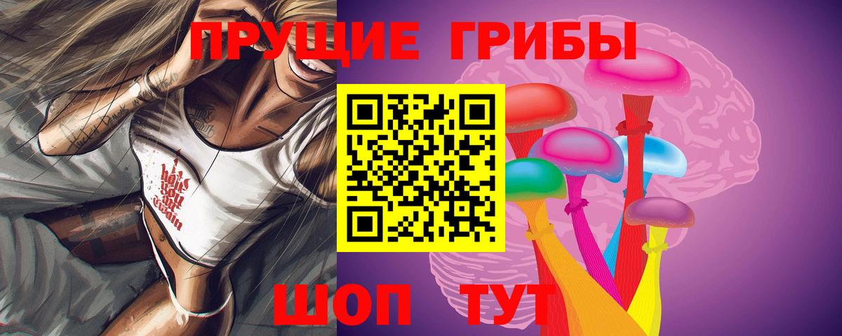 Псилоцибиновые грибы ЛСД  закладка  Иваново  Вход с VPN 