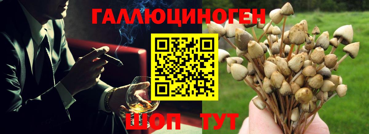 Галлюциногенные грибы MAGIC MUSHROOMS Иваново