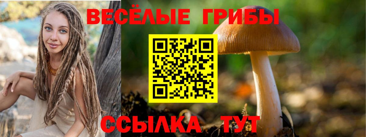 Галлюциногенные грибы ЛСД Иваново
